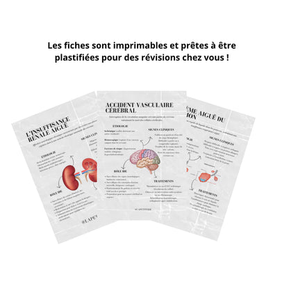 Pack de Révision Pathologies - 16 Fiches