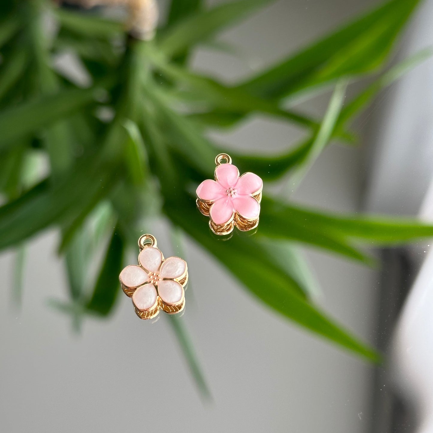 White flower - Charm