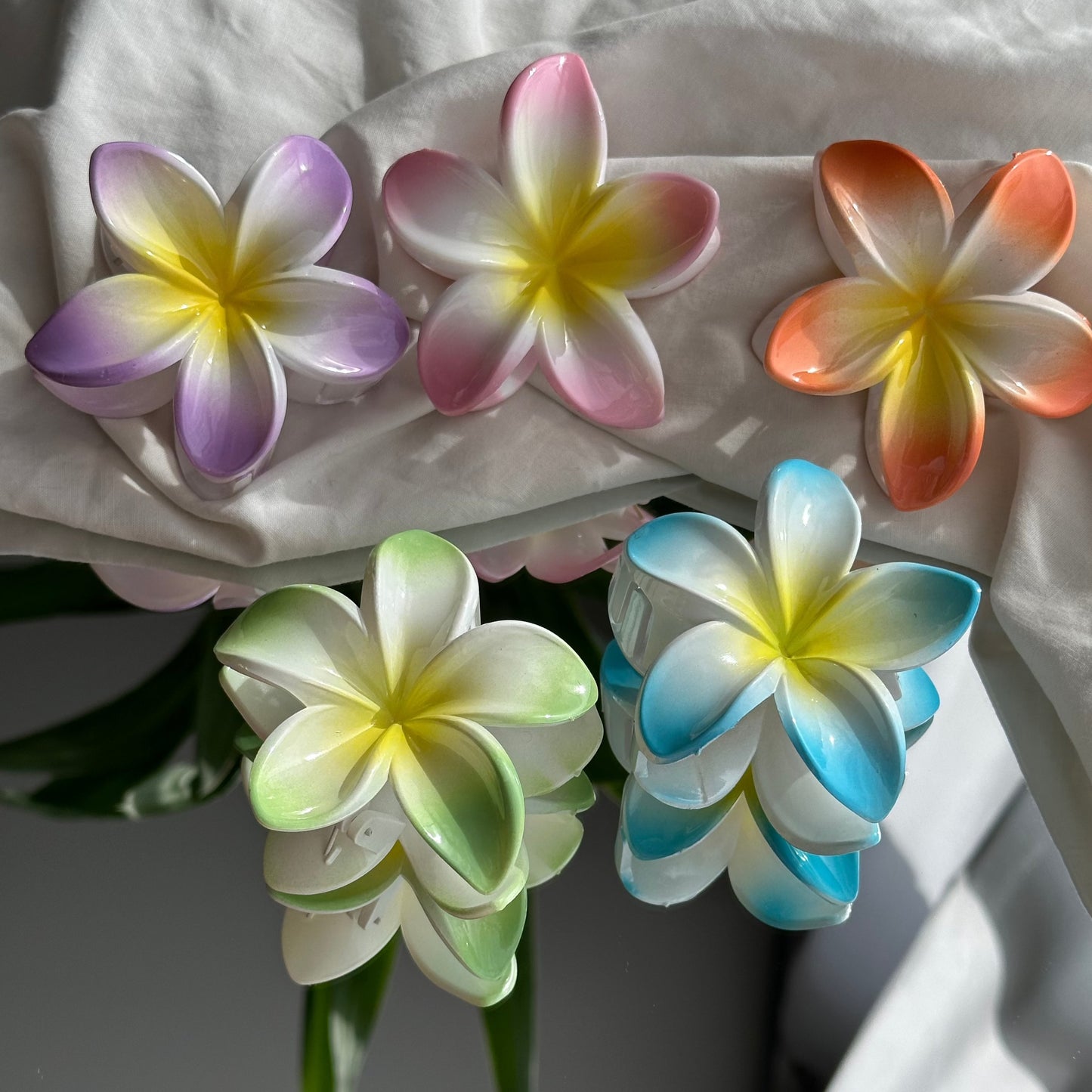 Mauritius flower clip