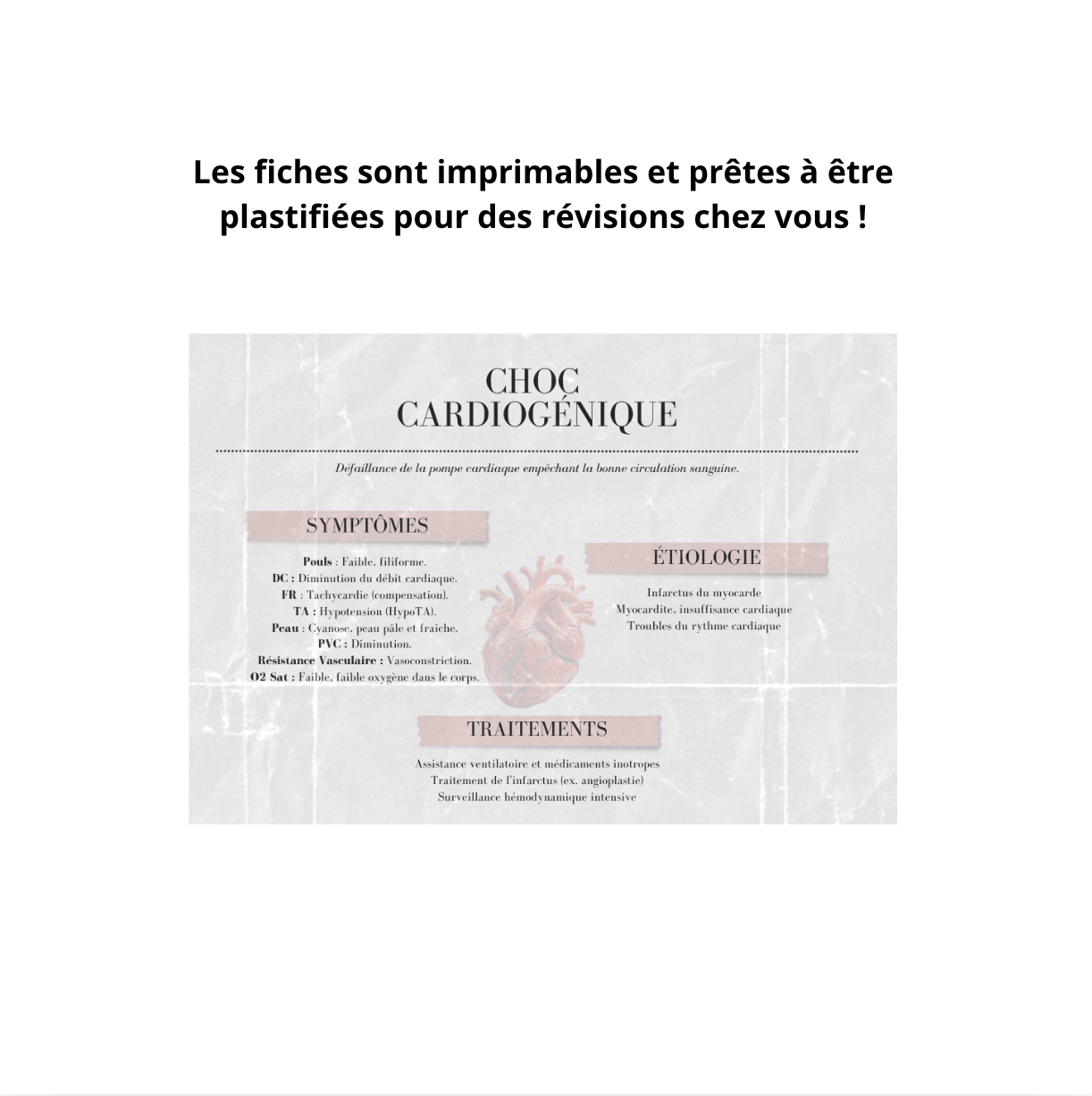 Les Chocs Hypovolémiques - 7 Fiches