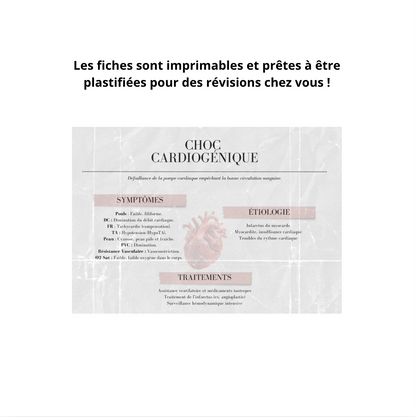 Les Chocs Hypovolémiques - 7 Fiches