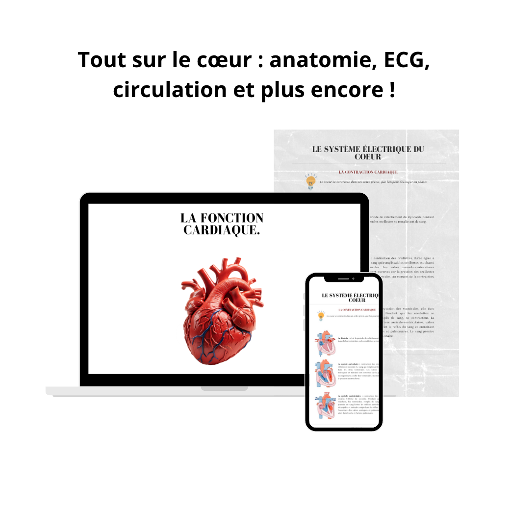 Le Guide Pratique de la Fonction Cardiaque - 25 Fiches