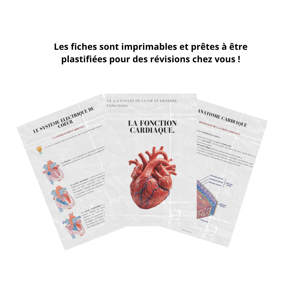 Le Guide Pratique de la Fonction Cardiaque - 25 Fiches