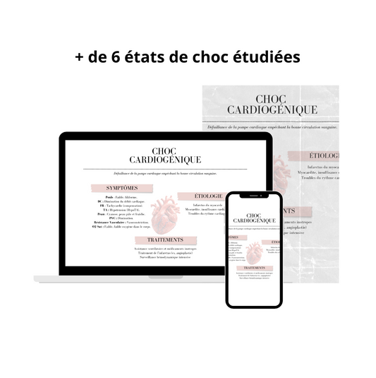 Les Chocs Hypovolémiques - 7 Fiches